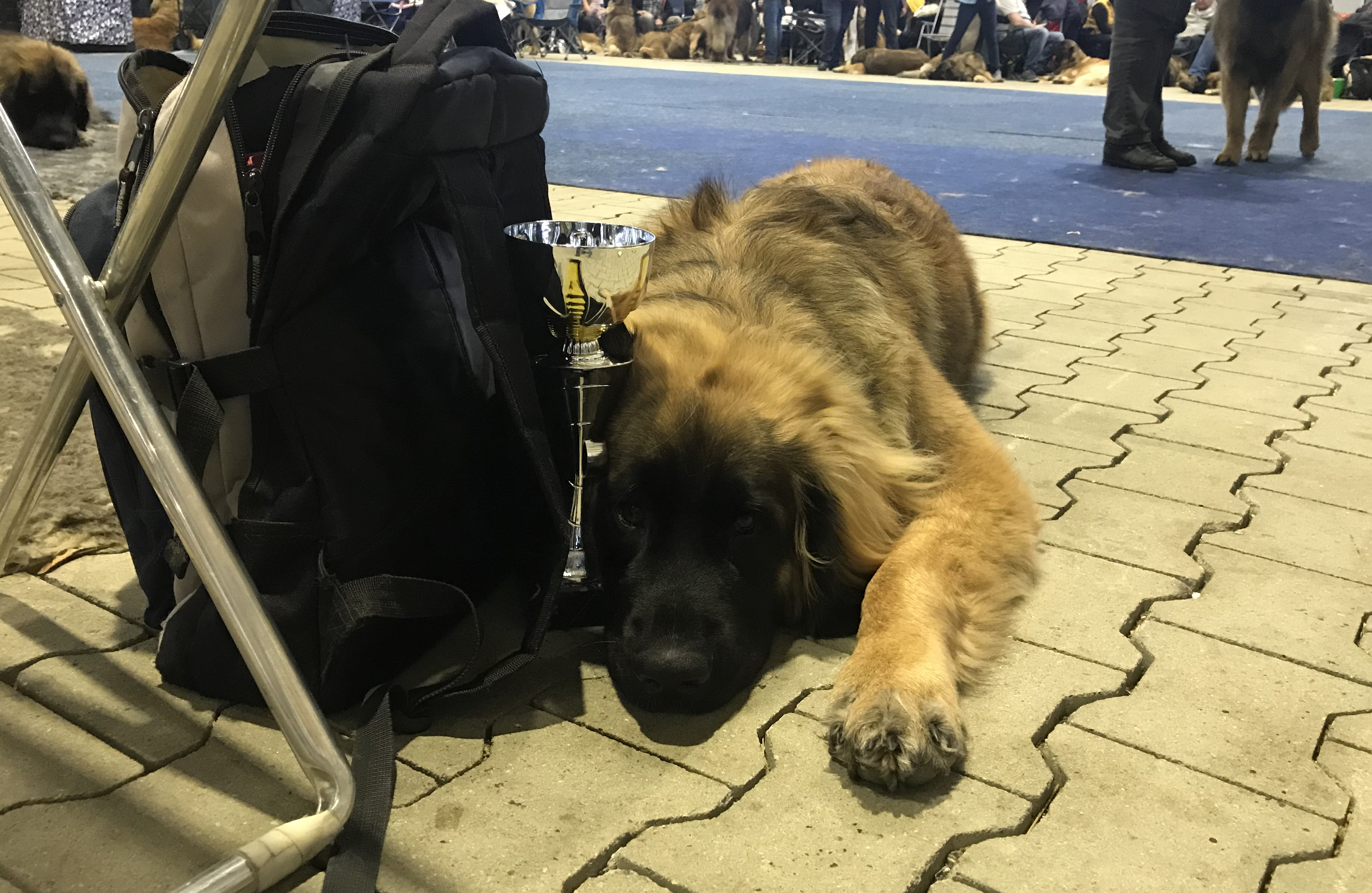 Foto 08.12.19, 12 33 01